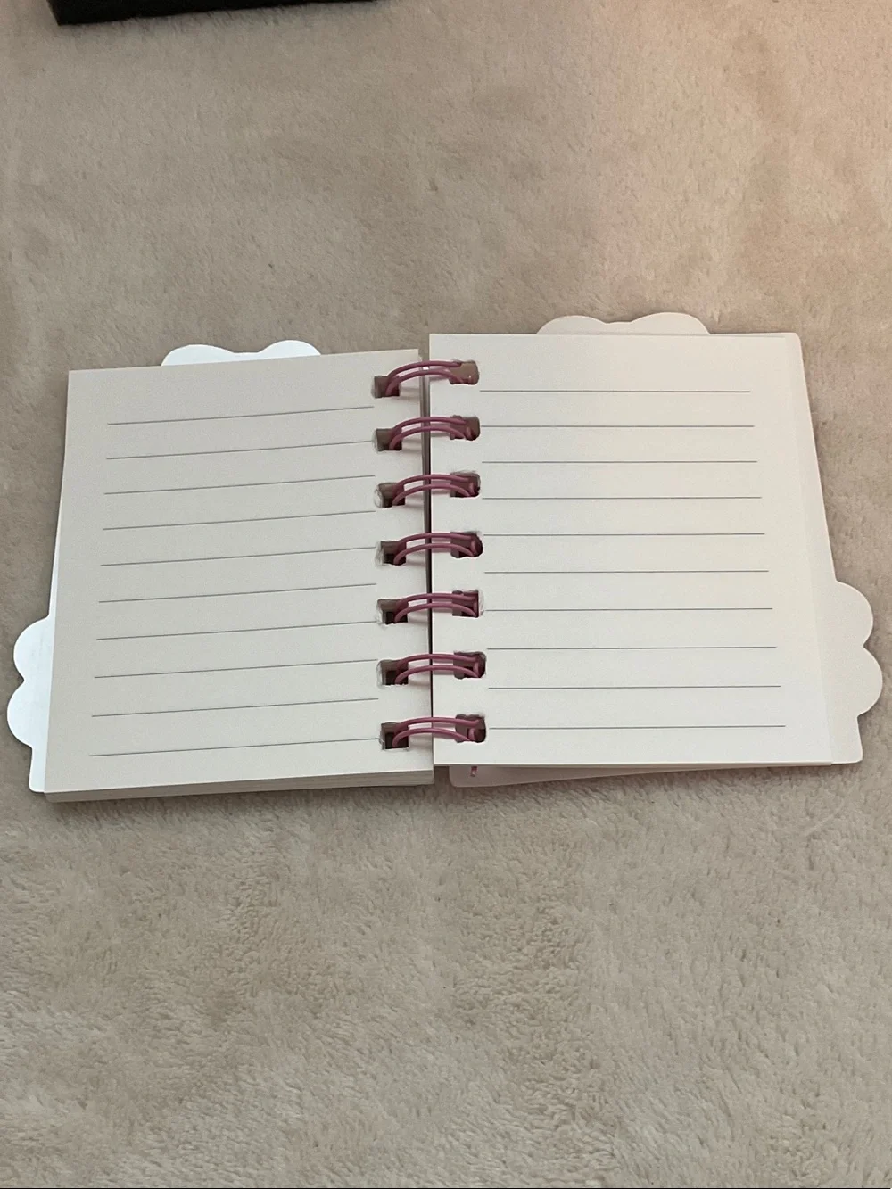 Sanrio Cinnamoroll Pastel Pink & Blue Spiral Notebook
